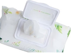 Islak Silgi Kapağı